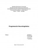 PNL Programación Neurolinguística