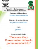 PET Y SUS IMPLICACIONES