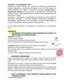 PROTOZOOS: CLASE ZOOMASTIGOPHOREA