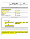 Formato analisis de puestos. Gestor de Soluciones Integrales