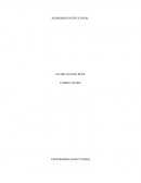 UN VUELO QUE DURÓ SOLO UNOS AÑOS