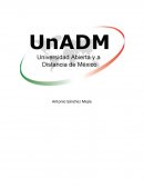 Principales Exponentes de los Paradigmas “Racionalismo, Empirismo e Idealismo”