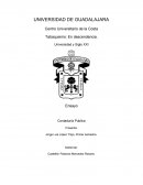Los daños del tabaco