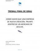 COMO HACER QUE UNA EMPRESA DE NUEVA CREACIÓN, TRIUNFE DENTRO DE UN MERCADO EN DECLIVE