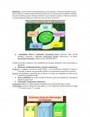 Marketing. Ofertas de marketing