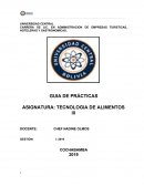 Guía practica. TECNOLOGIA DE ALIMENTOS