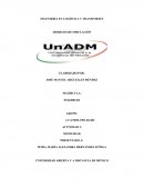 Actividad 2. Movilidad en México