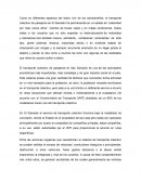 El transporte colectivo de pasajeros en San Salvador