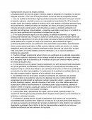 Substanciacion del jucio de amparo indirecto