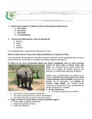 Muere el último de los rinocerontes negros trasladados a un parque en Kenia