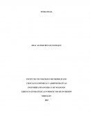 GERENCIA ESTRATÉGICA EN PROYECTOS DE INVERSIÓN