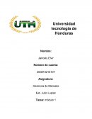 Gerencia de Mercado Nike