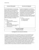 Comparacion entre los tipo de amnesia