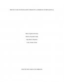 RUTA DE EXPORTACION – EMPRESA RICOS COMESTIBLES S.A.S