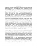 Referente teórico inclusión