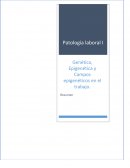 Genética, Epigenética y Campos epigenéticos en el trabajo