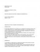 ANALISIS DE UN CASO: UN BEBE CON ANAENCEFALIA