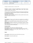 Trabajo: Comunicación no verbal: CNV