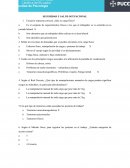 SEGURIDAD Y SALUD OCUPACIONAL