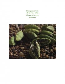 Proyecto Microeconomía Cardamomus. Página 1