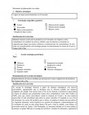 Planeacion estrategica. Horizonte de planeación: tres años