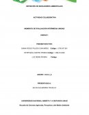 DEFINICIÓN DE INDICADORES AMBIENTALES ACTIVIDAD COLABORATIVA