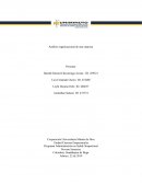 Análisis organizacional de una empresa