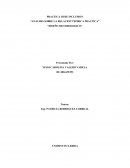 PRACTICA III DE INCLUSION “ANALISIS SOBRE LA RELACION TEORICA PRACTICA”