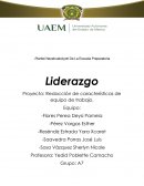 Liderazgo Proyecto: Redacción de características de equipo de trabajo