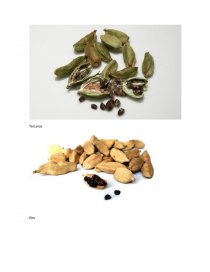 Proyecto Microeconomía Cardamomus. Página 7