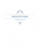 Proyecto final marketing estrategico