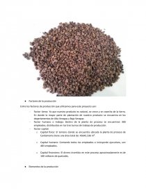 Proyecto Microeconomía Cardamomus. Página 8