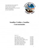 Semillas Criollas y Semillas Convencionales