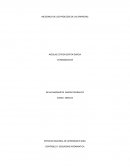 INCIDENCIA DE LOS PRODECOS DE LAS EMPRESA