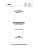 PROYECTO FINAL GESTION DE PRODUCCION PROQUIDENT S.A.