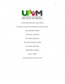 Eficiencia de consumo de combustible entre gasolina y diésel