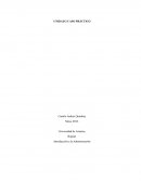 Caso Practico Unidad 3. Introducción a la Administración