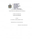 LOGISTICA DE MERCADEO empresa NICASAL, S.A