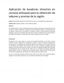 Aplicación de levaduras silvestres en cerveza artesanal para la obtención de sabores y aromas de la región