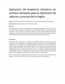 Aplicación de levaduras silvestres en cerveza artesanal para la obtención de sabores y aromas de la región