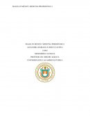 Magia en México: Medicina prehispánica