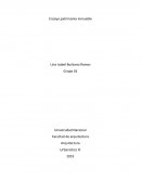 Ensayo patrimonio inmueble