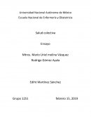 Salud colectiva Ensayo
