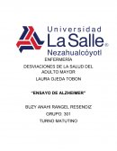 Ensayo alzheimer