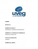 Mercadotecnia. Fundamentos de Mercadotecnia LECHE LALA