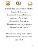 Proteínas plasmáticas basado en “Determinación de proteínas plasmáticas en suero”