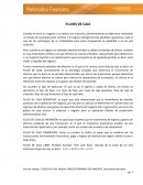 GUÍA DE FLUJO DE CAJA