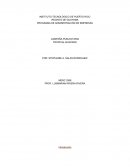 Campana publicitaria producto Tropical Blizzard