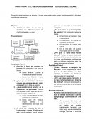 PRACTICA N° 2 EL MECHERO DE BUNSEN Y ESTUDIO DE LA LLAMA
