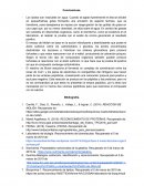 Los lípidos son insolubles en agua